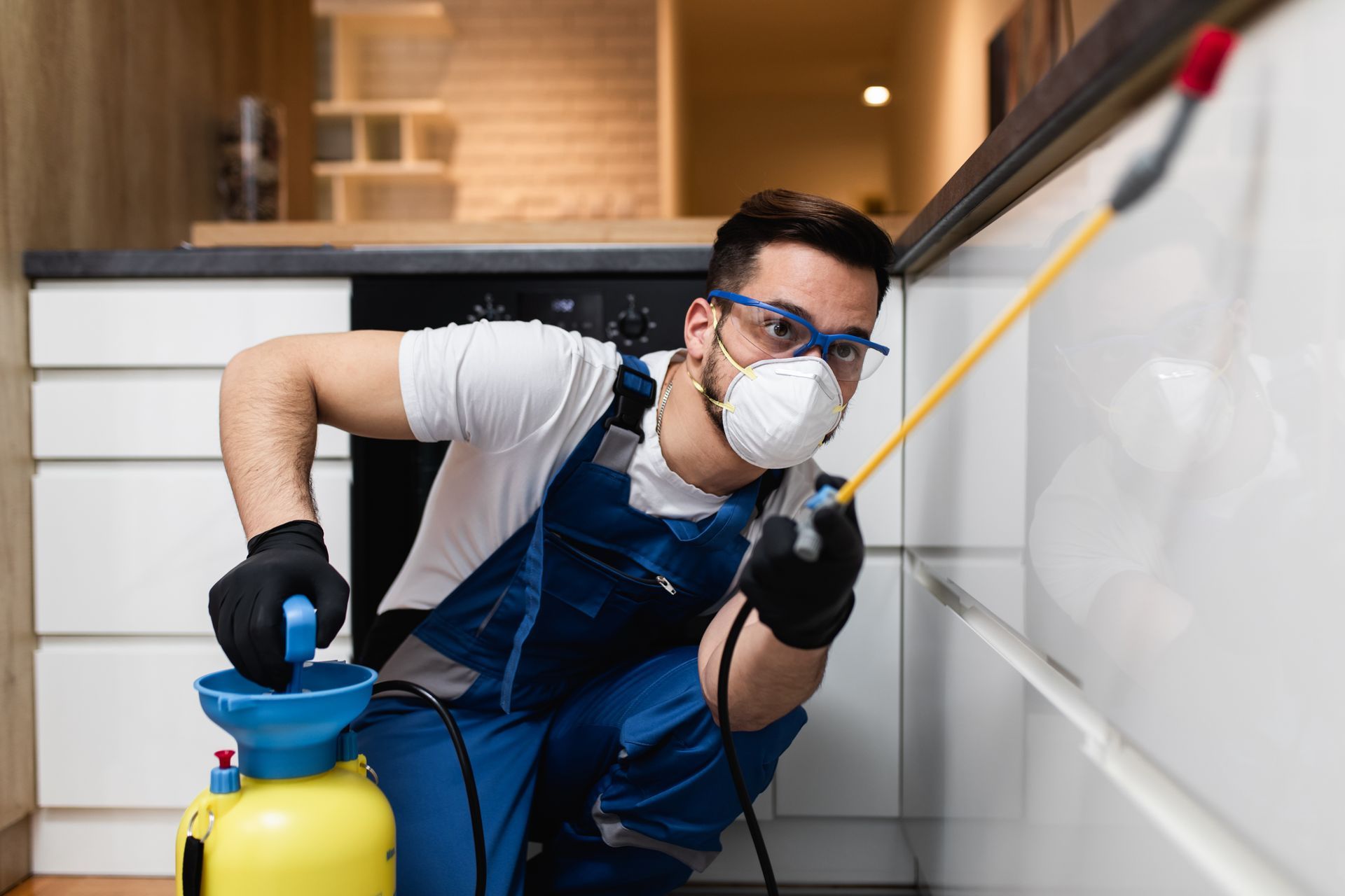 A man is spraying pest control - Honolulu, HI - Pest Tech Hawaii