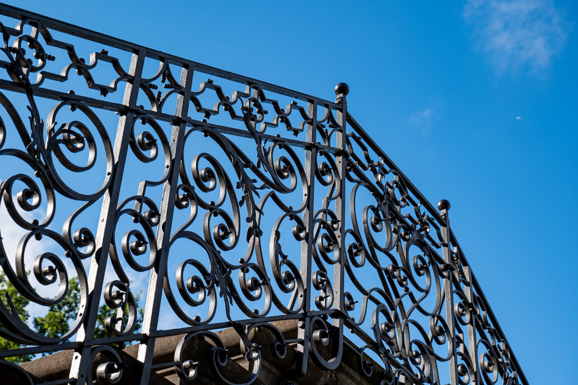 Ornate Decorative Railing