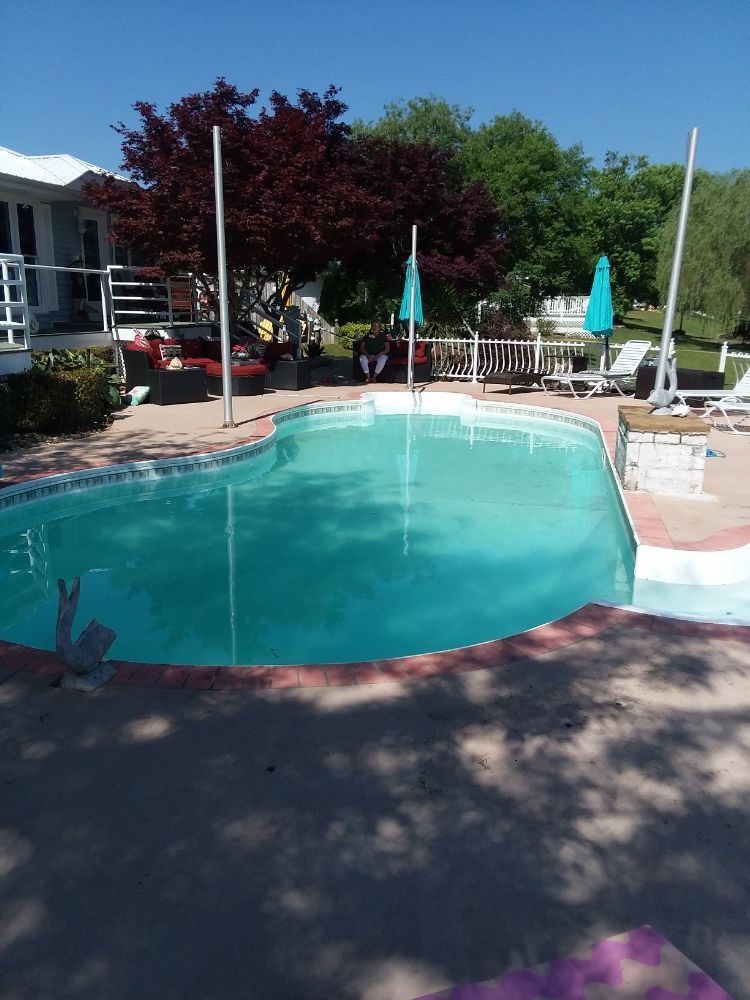 Backyard swimming pool with patio umbrellas, lounge chairs, and trees in the shade