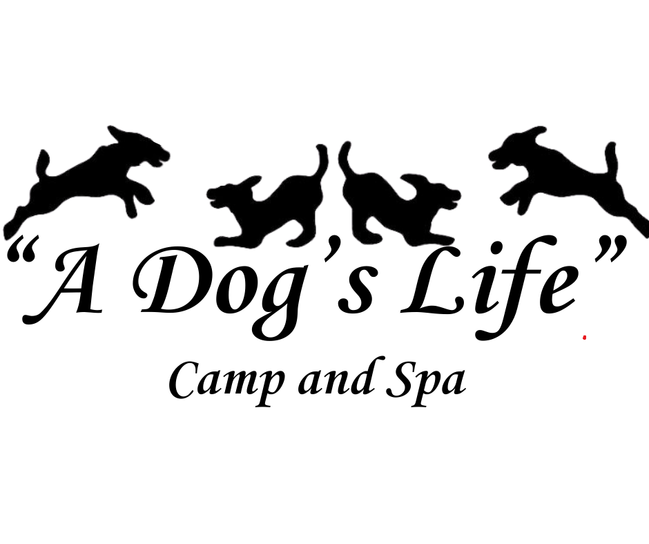 Logo for 
