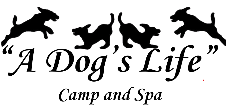 Logo for 