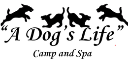 Logo for 