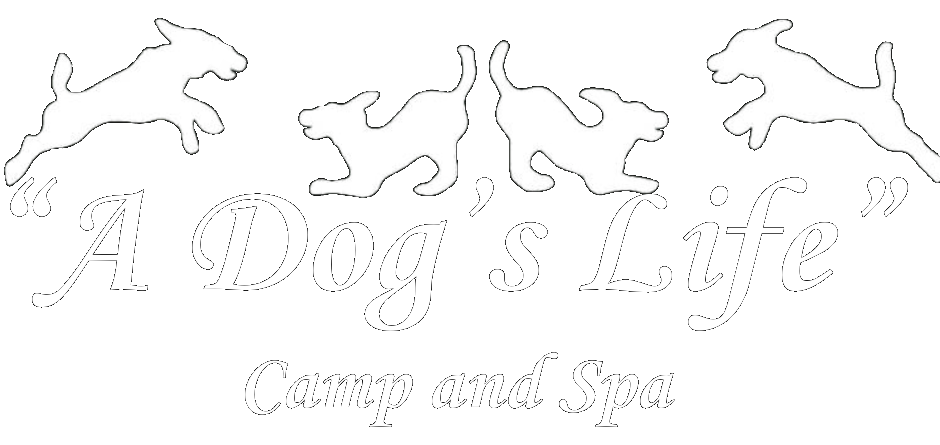 Logo: Silhouettes of dogs above the text 