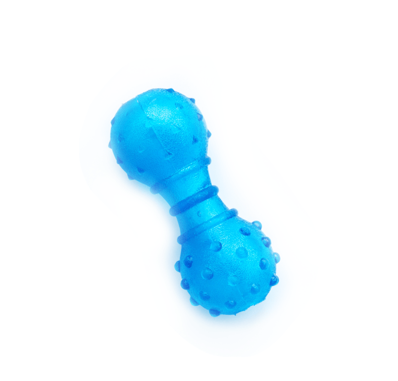 Blue dumbbell-shaped dog toy with bumpy texture on a white background.