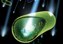 An illustration of a green cell with a light coming out of it. An illustration of a green cell with a light coming out of it.