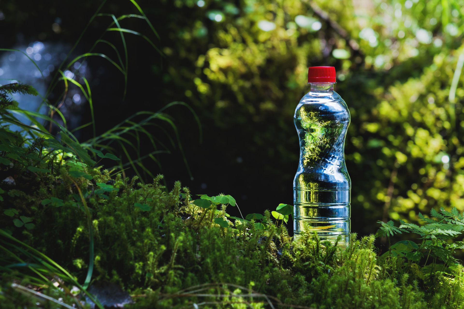 Plastic water bottle with a red cap nestled in green moss, in a natural setting. Plastic water bottle with a red cap nestled in green moss, in a natural setting.