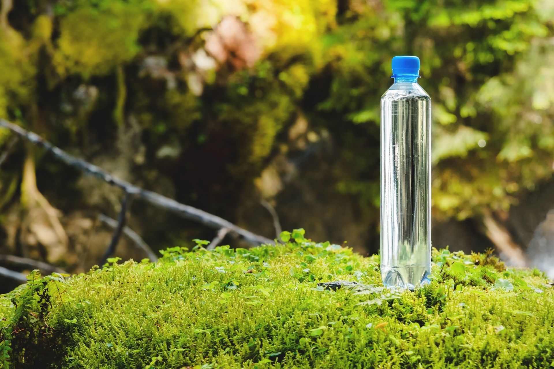Water bottle on a patch of green moss, with a blurred forest background. Water bottle on a patch of green moss, with a blurred forest background.