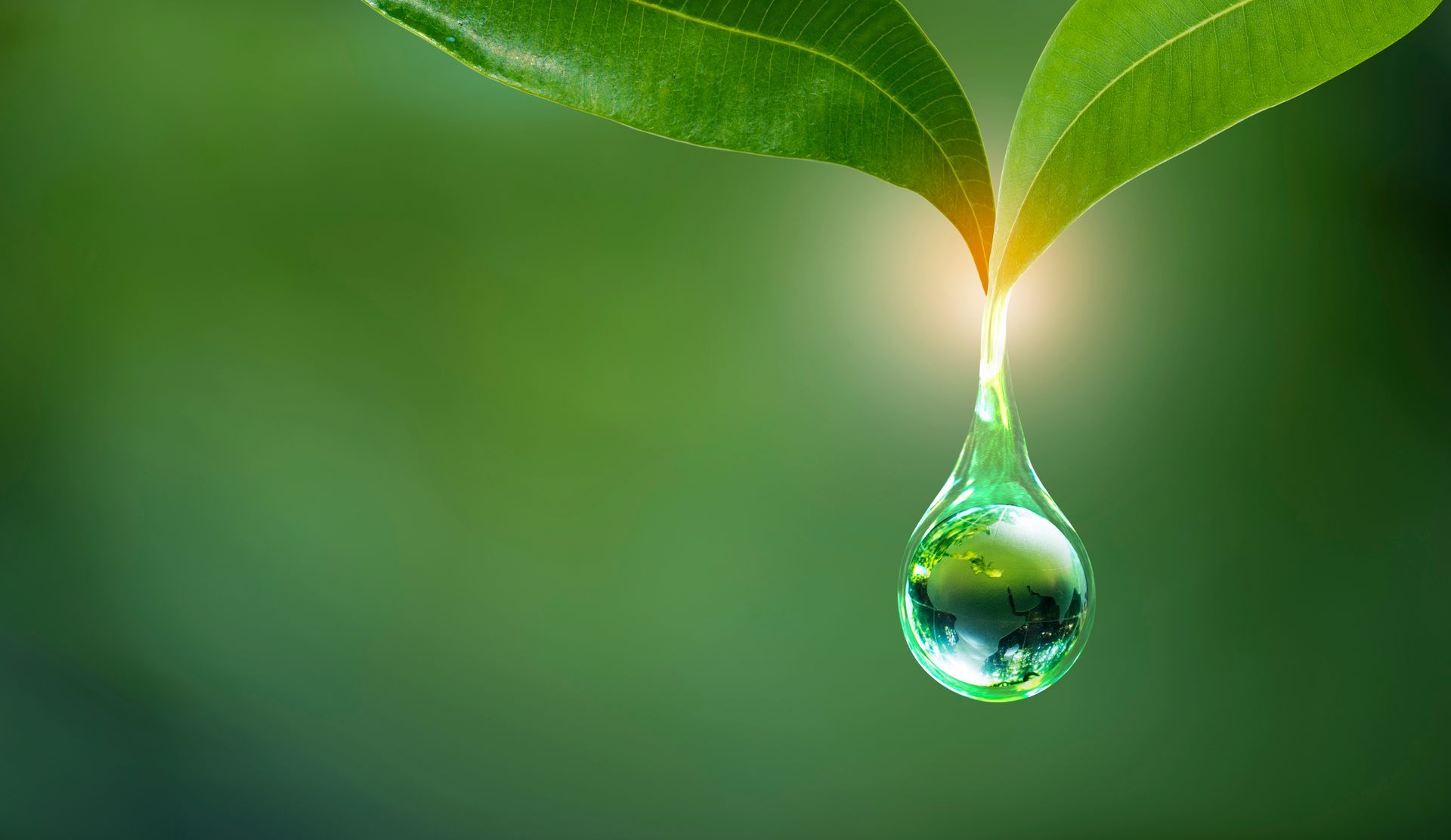 Green leaf with a water droplet reflecting the surrounding nature; bright light highlights the center. Green leaf with a water droplet reflecting the surrounding nature; bright light highlights the center.