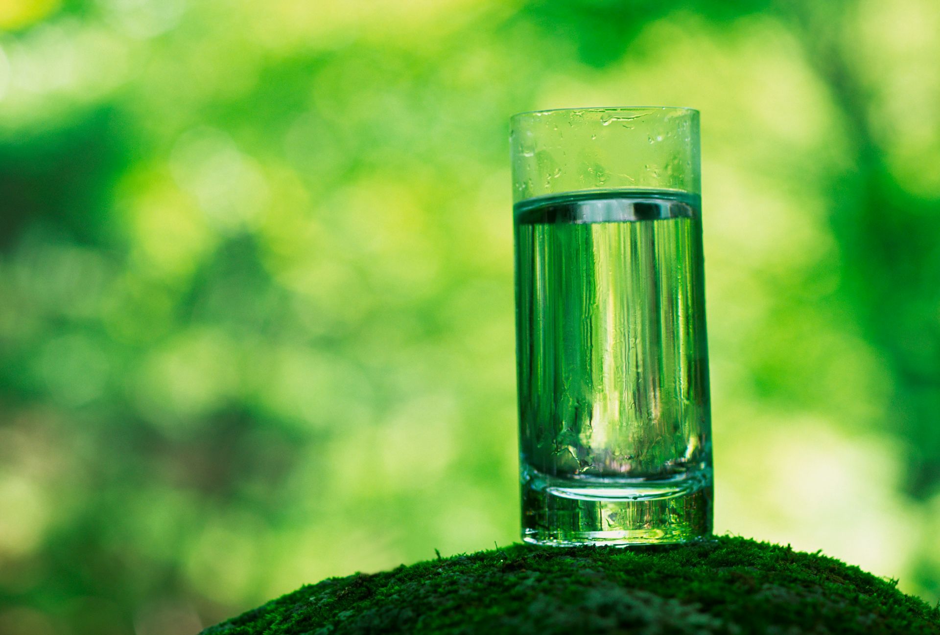 A tall glass of green liquid on a bed of moss, with a blurred green background of foliage. A tall glass of green liquid on a bed of moss, with a blurred green background of foliage.