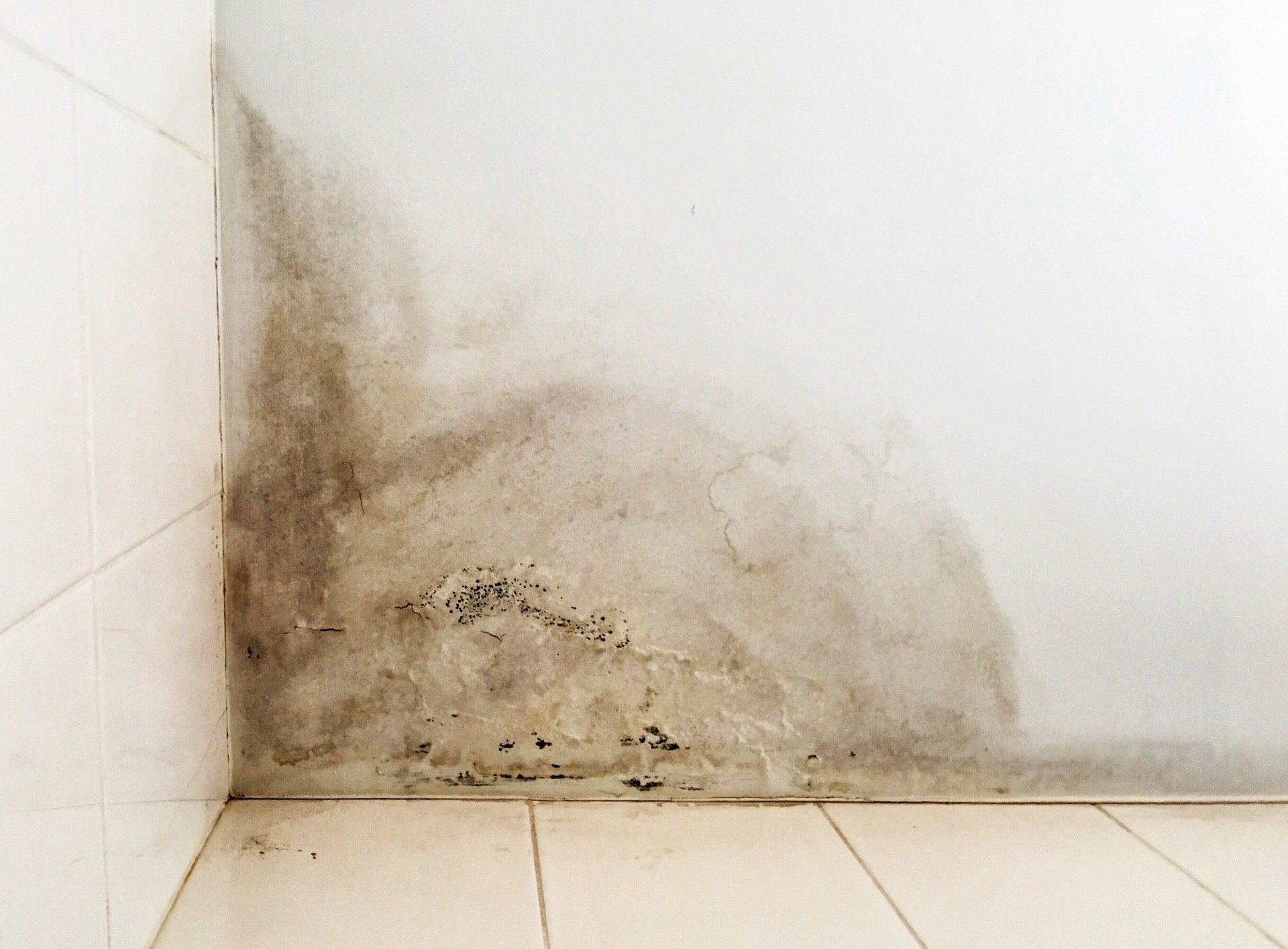 vocht muur isolatie