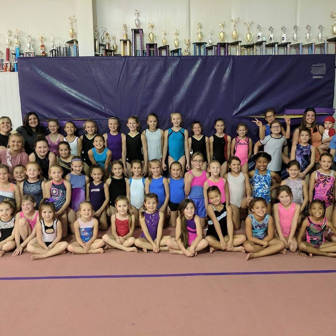 Large gymnastics team posing in colorful leotards on a gym floor with trophies on a shelf behind them