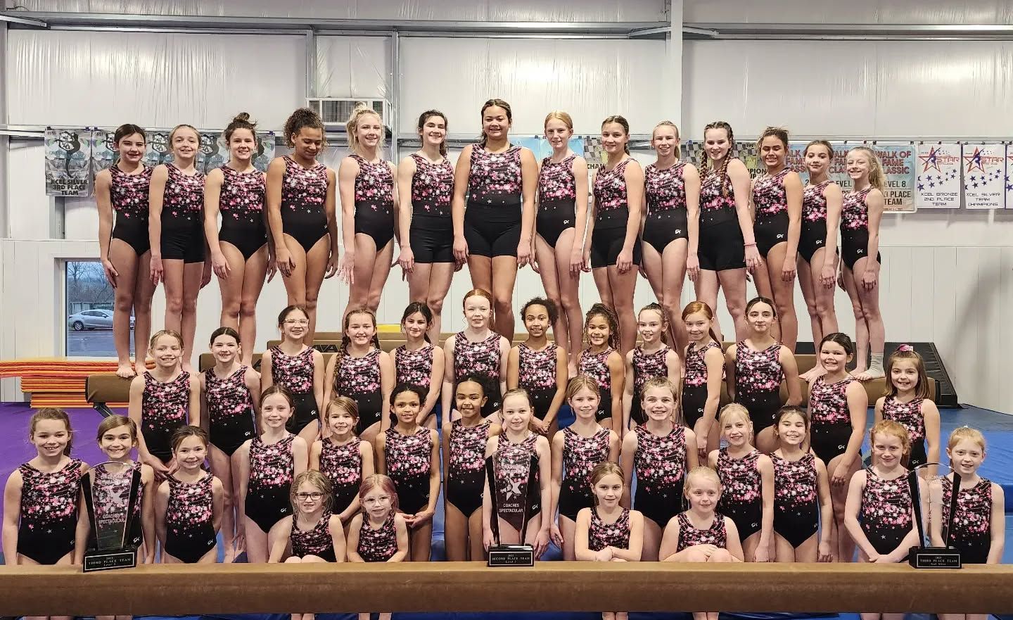Large gymnastics team posing in matching black-and-purple leotards on a competition podium indoors