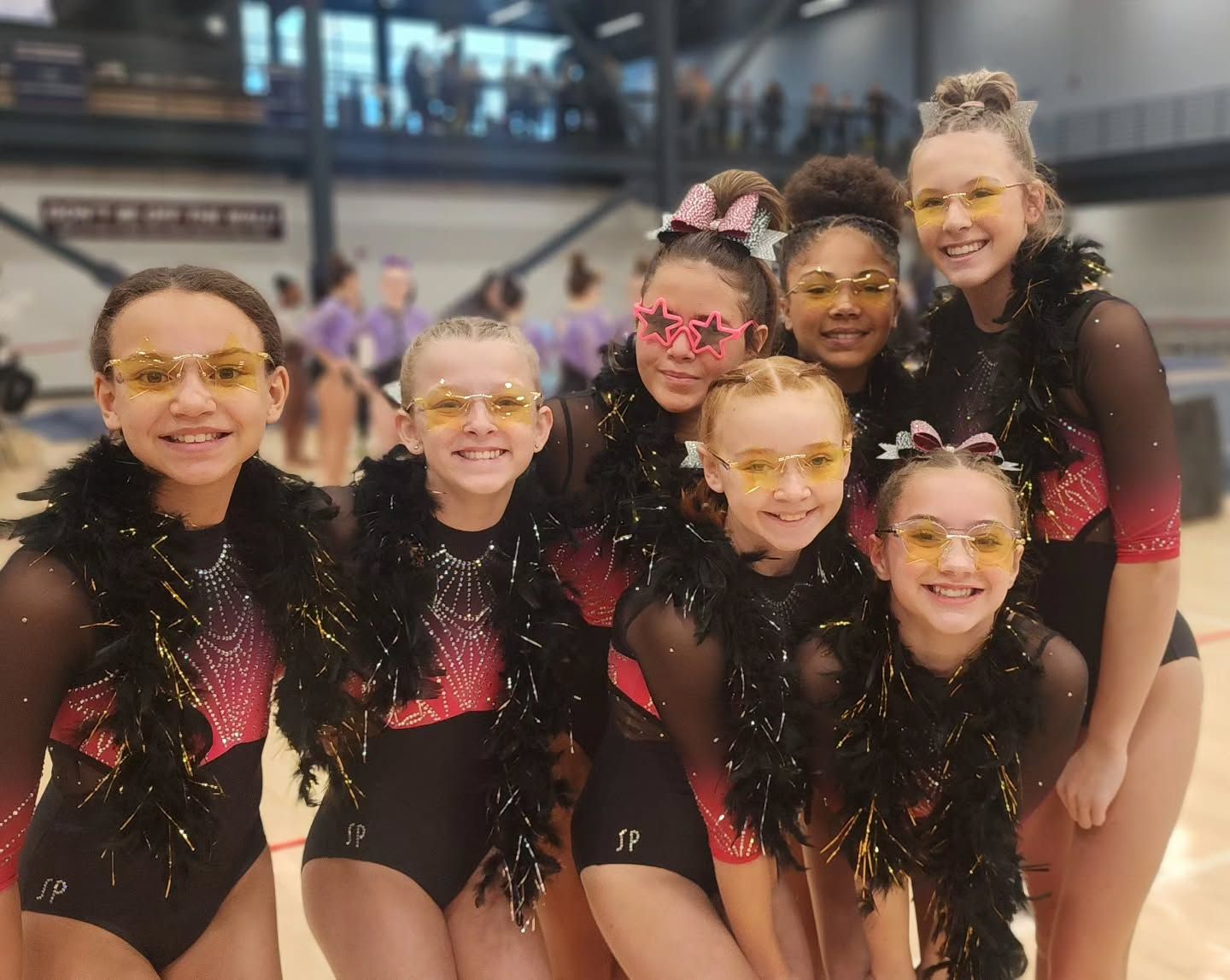 Six gymnasts in black and pink leotards pose together in a gym, smiling at the camera.