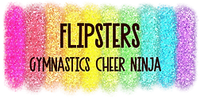 Colorful glitter banner reading “FLIPSTERS” with “GYMNASTICS CHEER NINJA” below on a white background