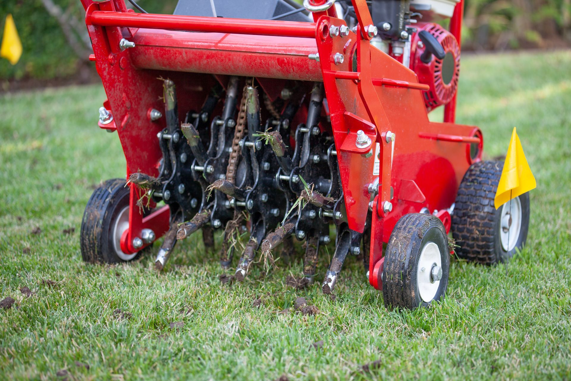 Red tractor-mounted lawn aerator on grass, with multiple tines and small wheels visible.