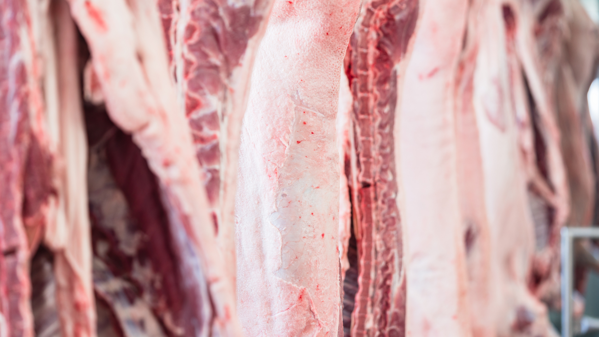 Custom Meat Processing Graysville TN | Ross’s