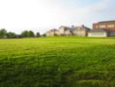 Hand holding a small clump of grass with roots and soil against a blurred green background