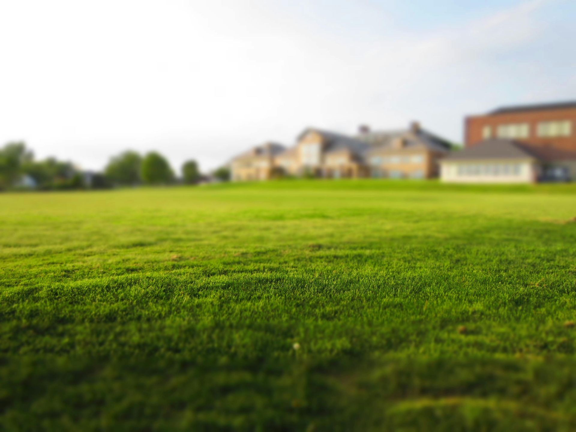 Hand holding a small clump of grass with roots and soil against a blurred green background