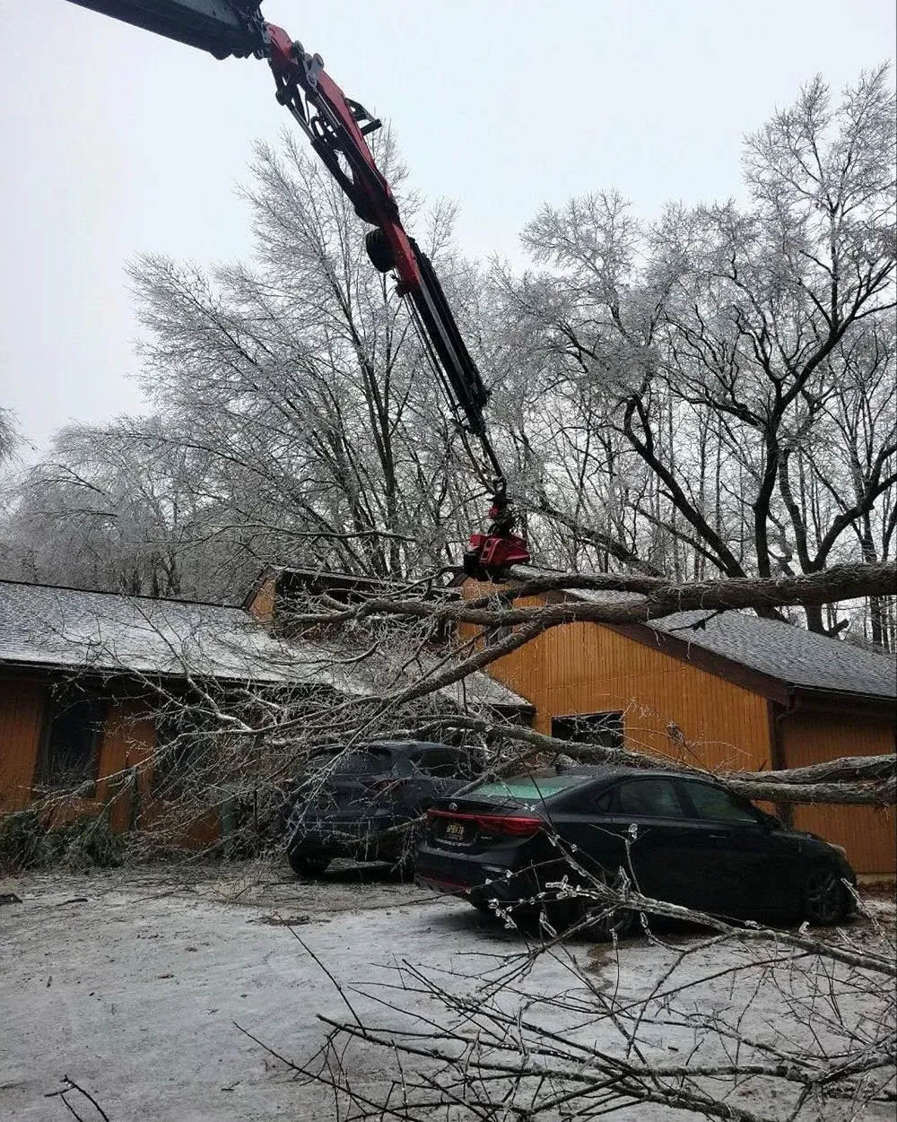 A crane is lifting a tree branch from the roof of a house.