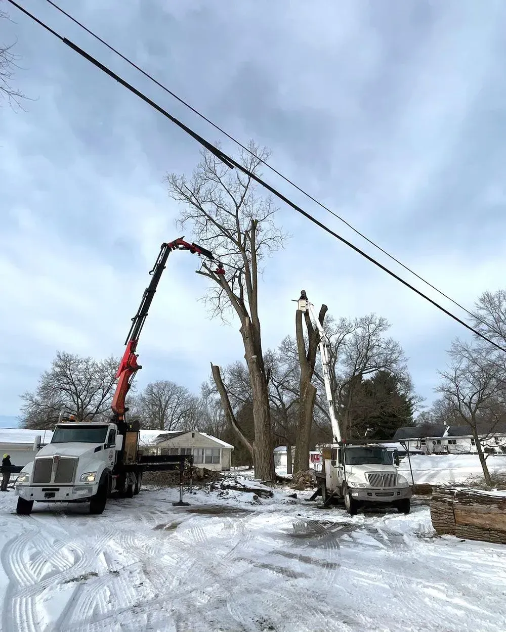 A truck with a crane attached to it is cutting a tree in the snow.
