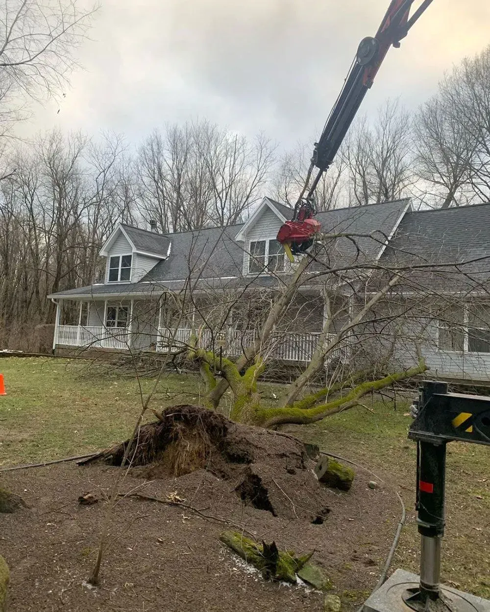 A crane is lifting a tree in front of a house.