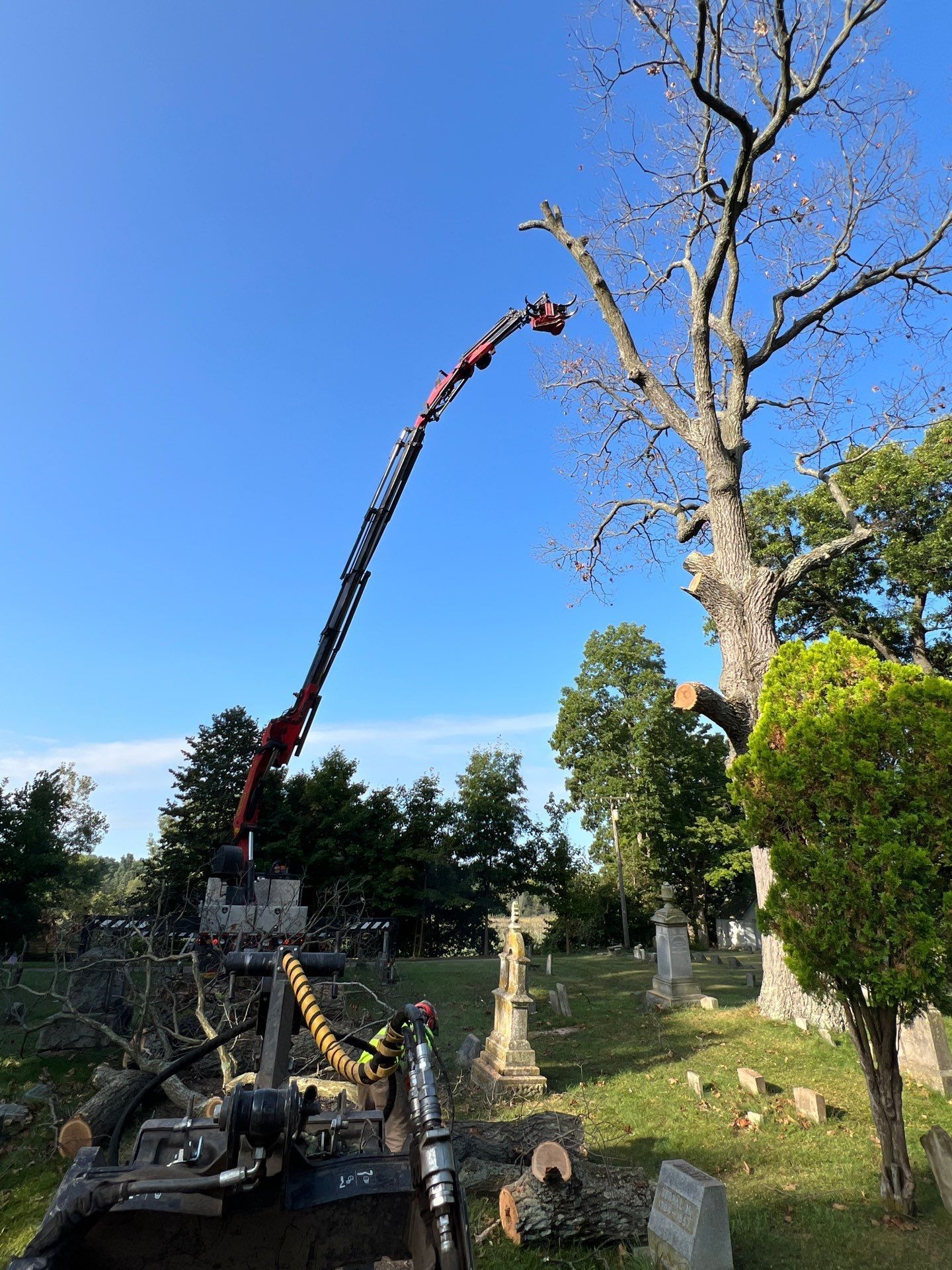 Tree-cutting crane reaching up beside a tall leafless tree in a cemetery under a blue sky