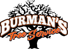 Burrman&rsquo;s Tree Service logo with a black tree silhouette and orange-and-white lettering