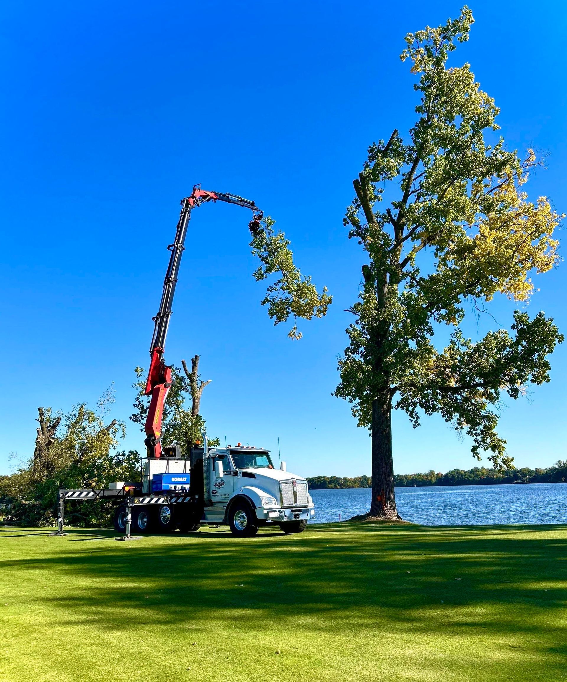 Crane truck trimming a lakeside tree on a sunny day, with blue sky and water in the background