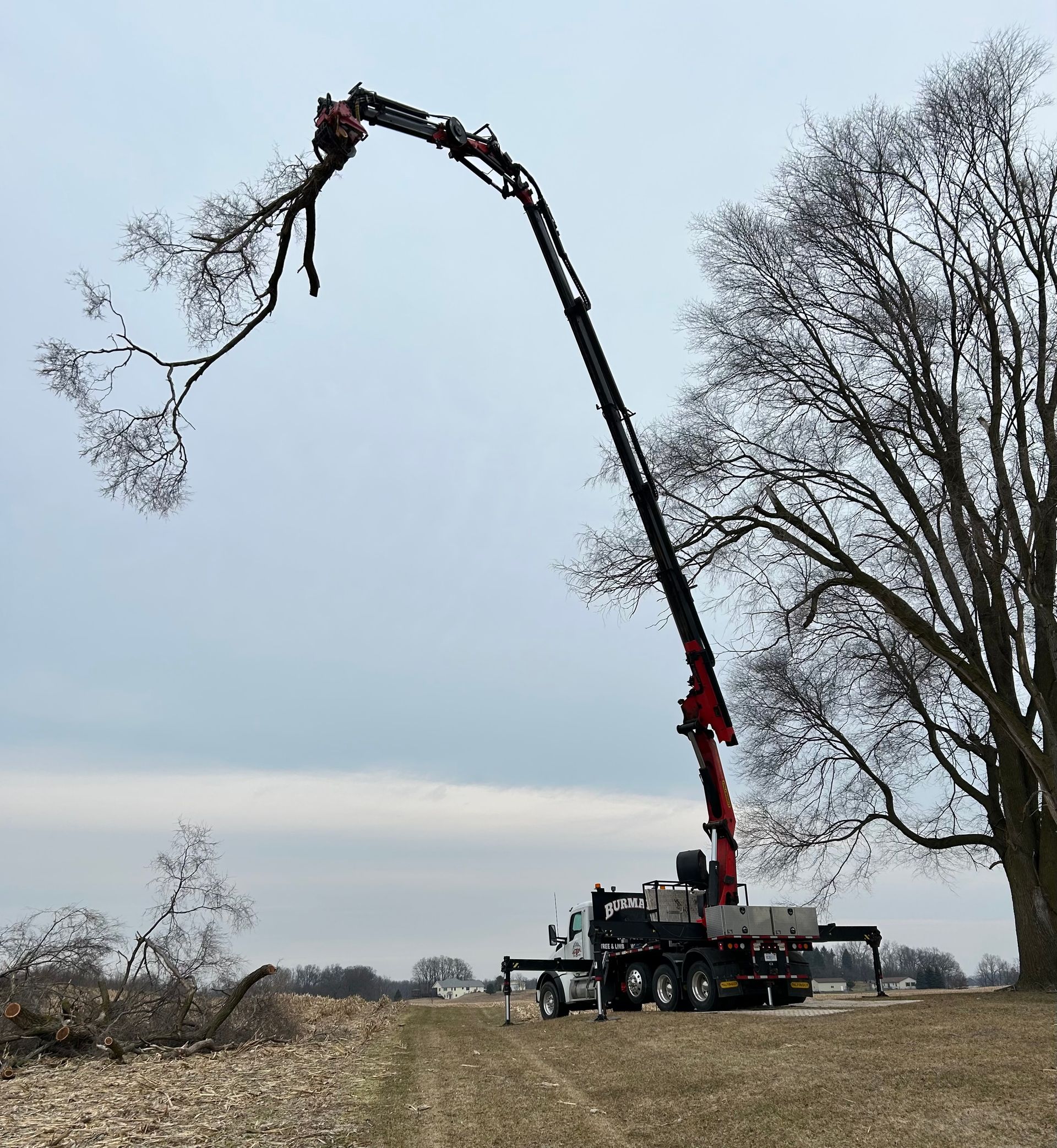 A crane-mounted tree trimmer cuts branches from a tall tree in an open field.