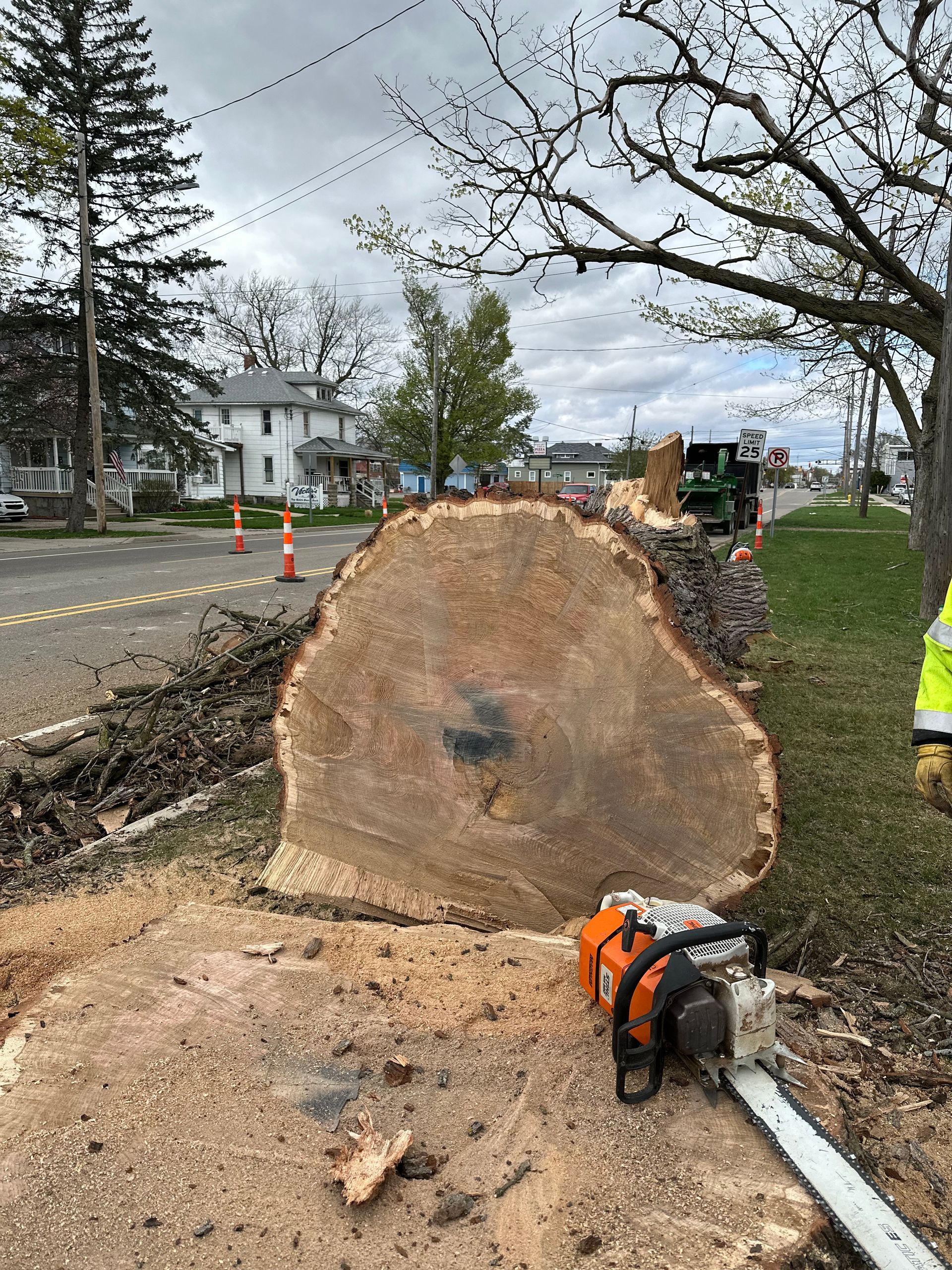 Large tree stump after roadside tree removal, with chainsaw and wood chips on the ground.