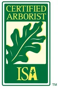 A certified arborist isa logo with an oak leaf