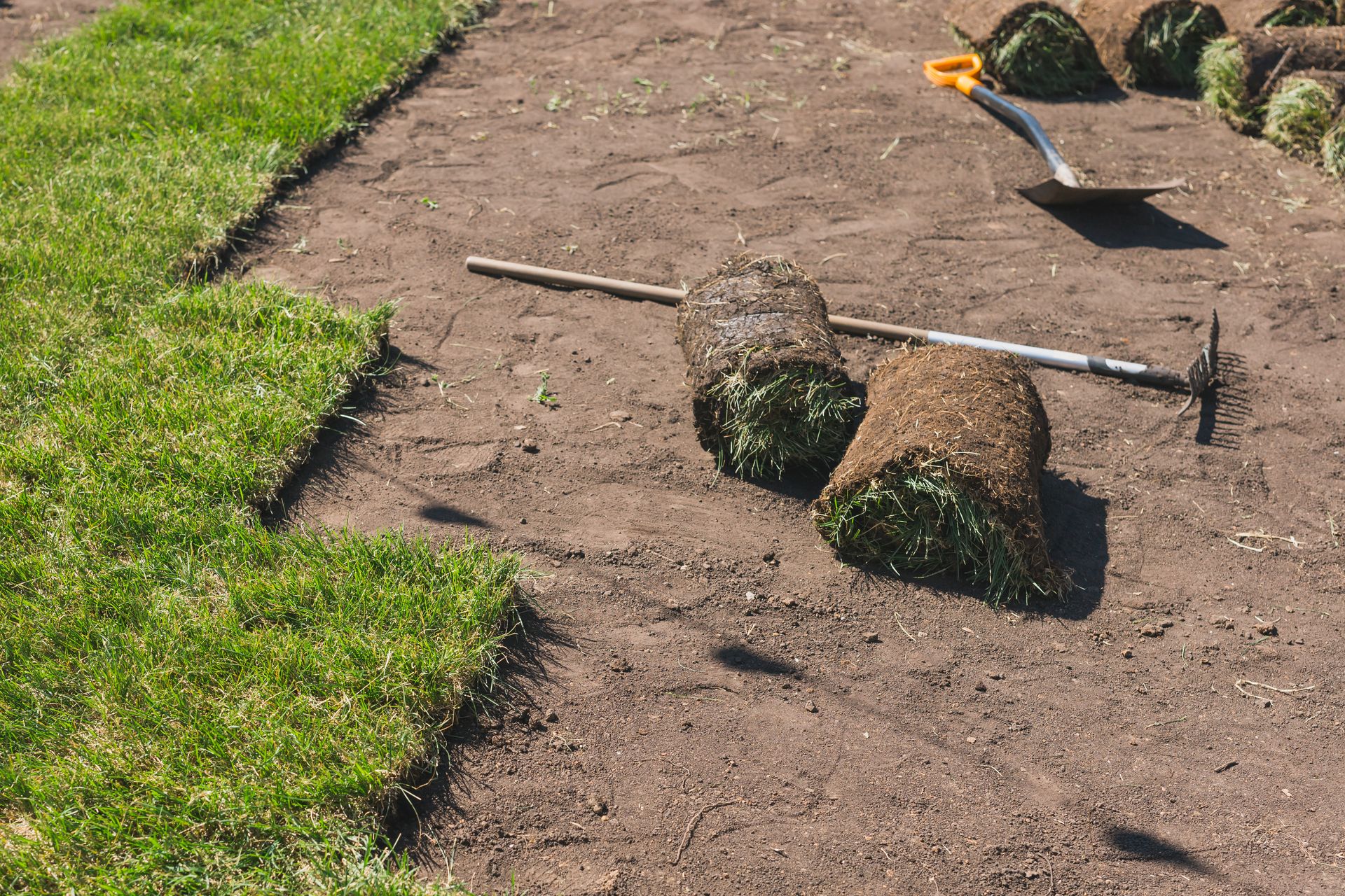 Two sod rolls on bare soil beside a grass lawn, with a rake and shovel nearby.