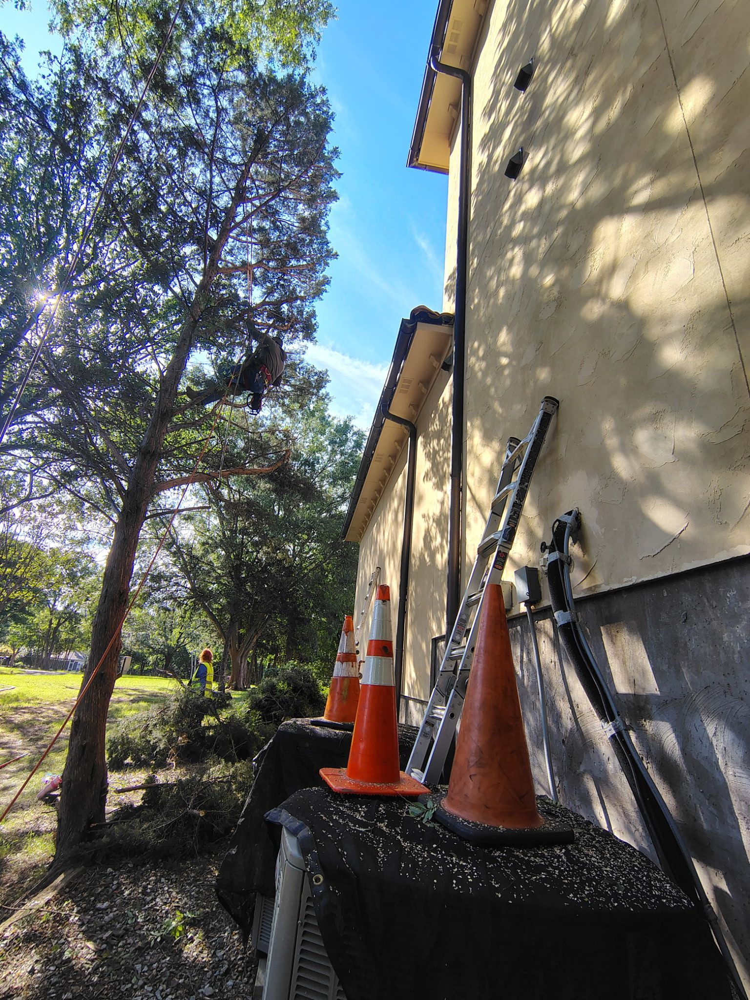 Orange traffic cones on a black fence beside a beige building and trees in bright sunlight