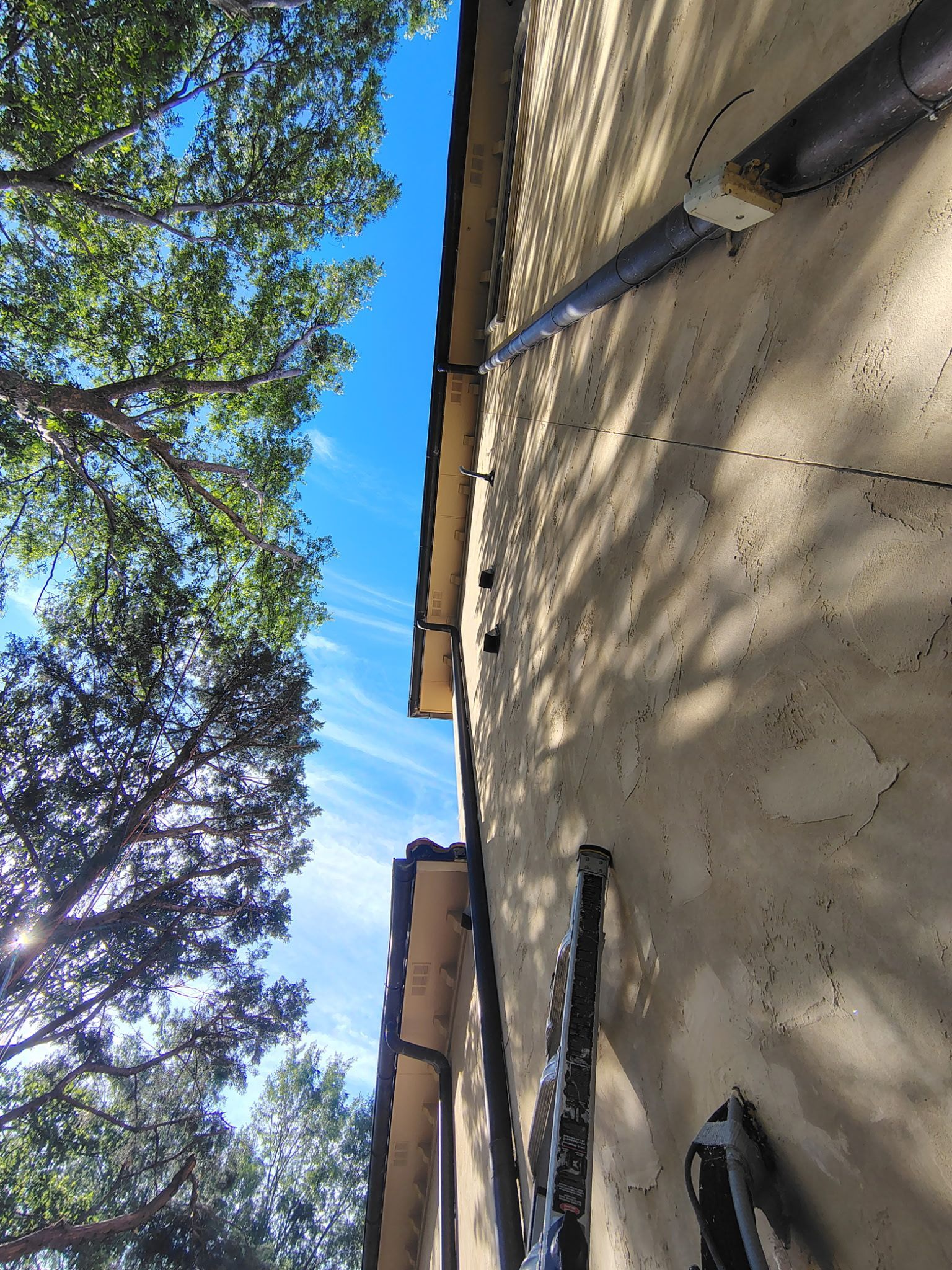 Tree shadows on a beige house wall under a blue sky, with roof eaves and a window frame visible