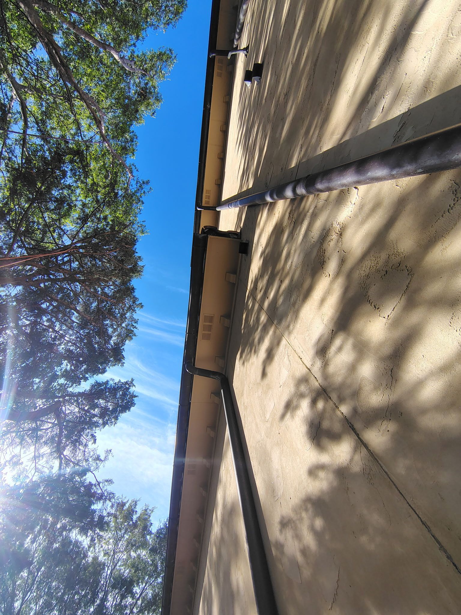 Tilted view of a house wall and roofline with tree branches and bright blue sky overhead