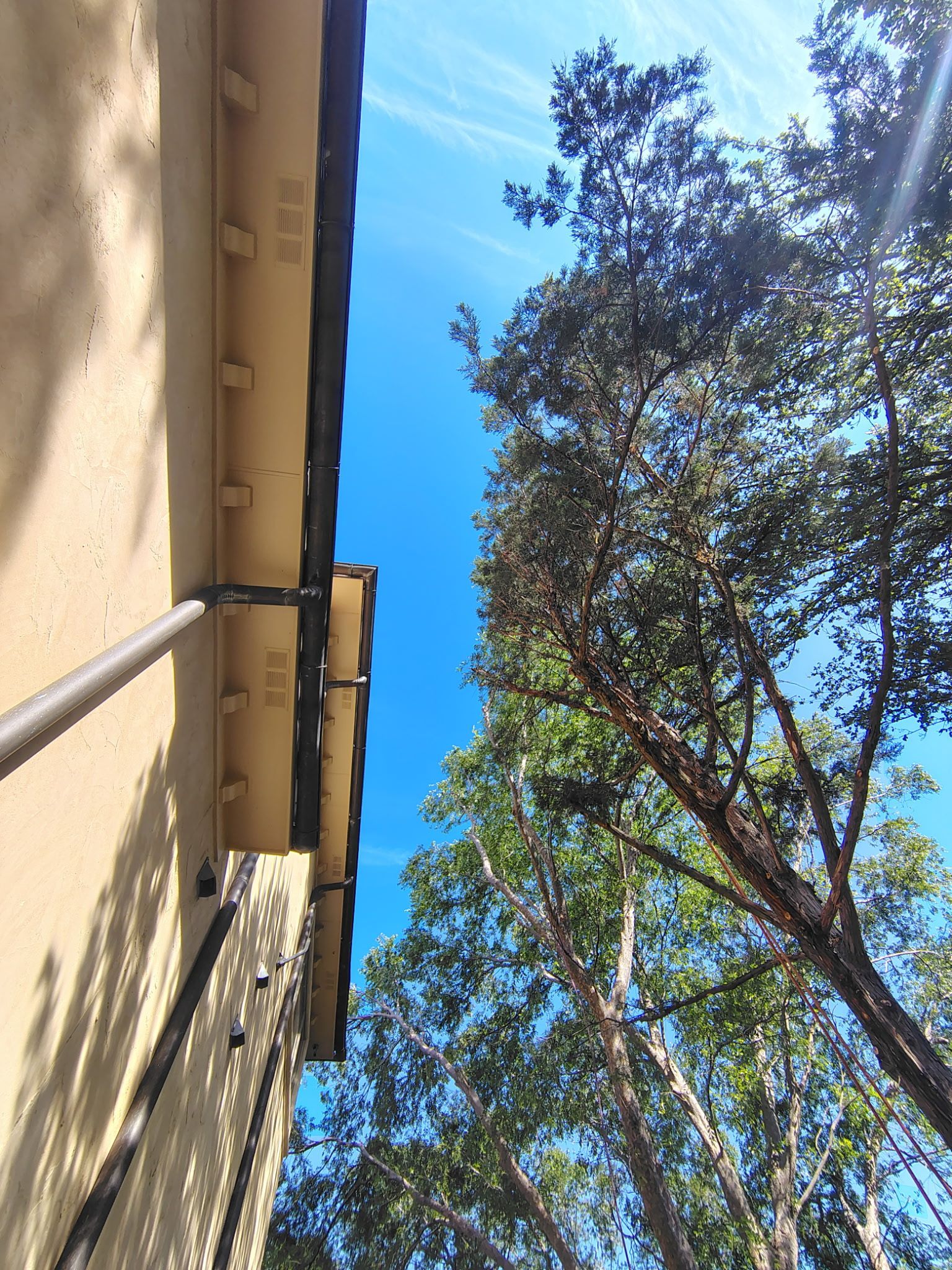 Low-angle view of a beige building beside tall green trees against a bright blue sky