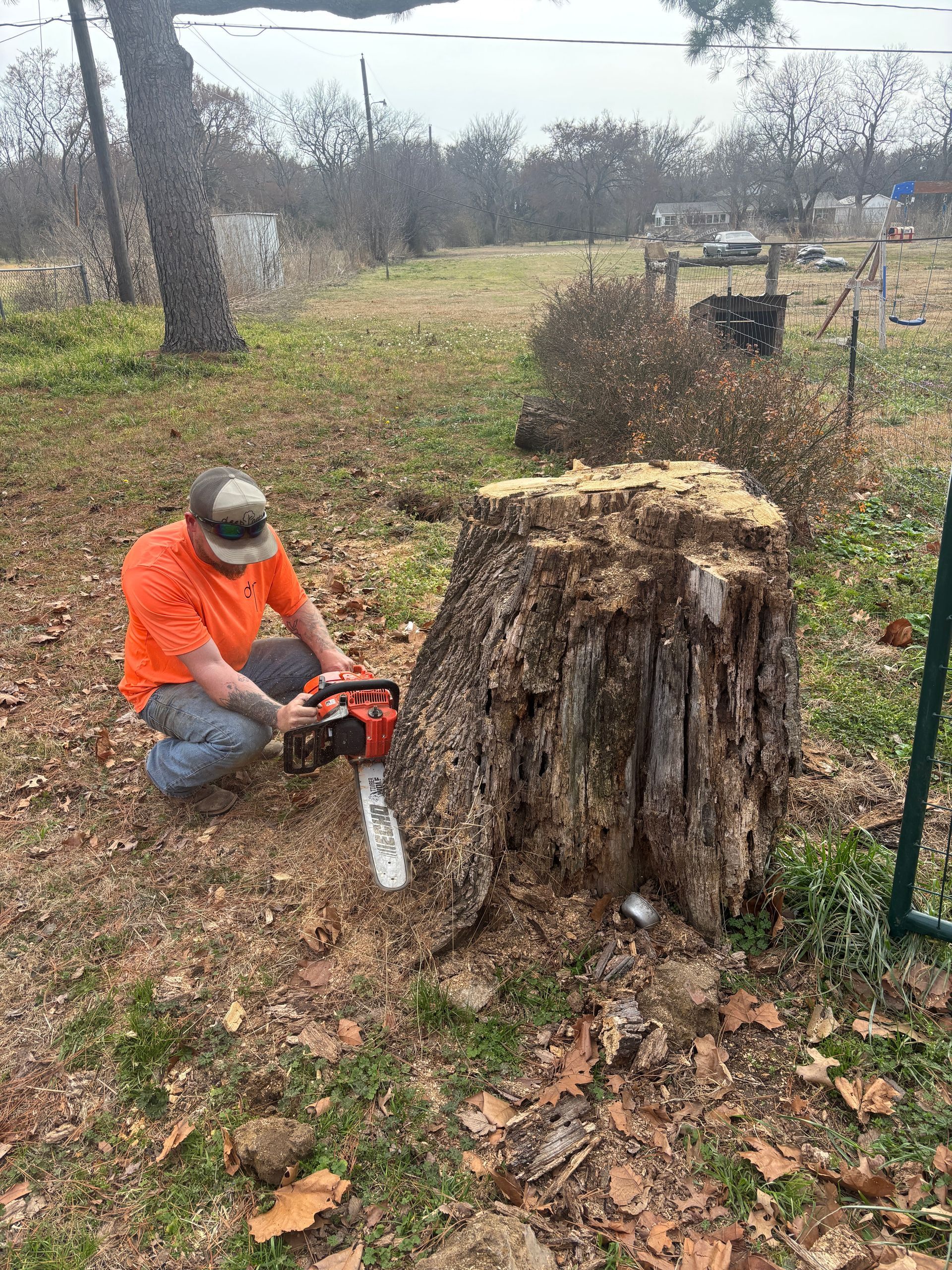 Worker in orange safety shirt cutting a large tree stump with a chainsaw outdoors.