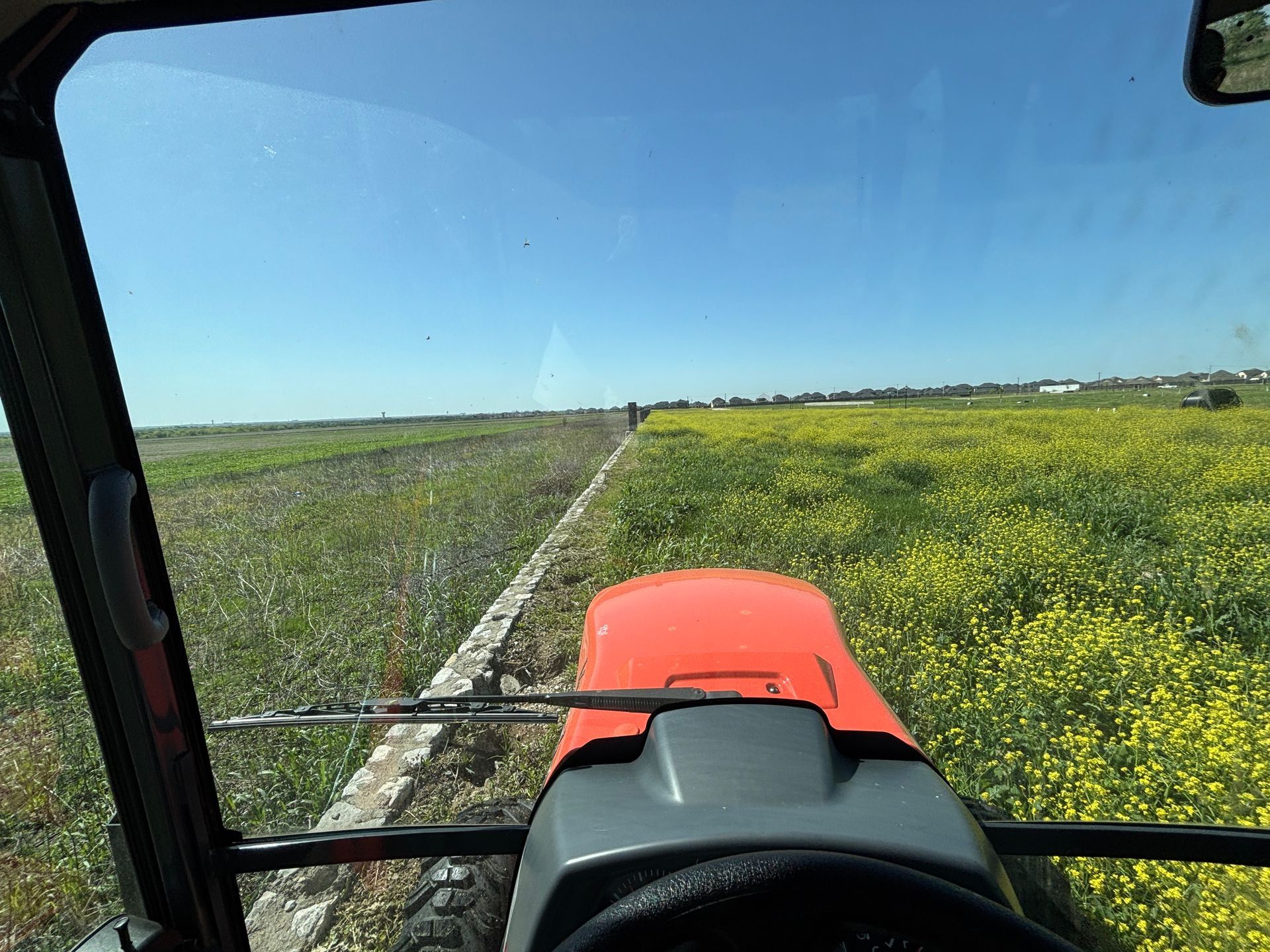 View from a tractor driving through a field of yellow flowers under a blue sky