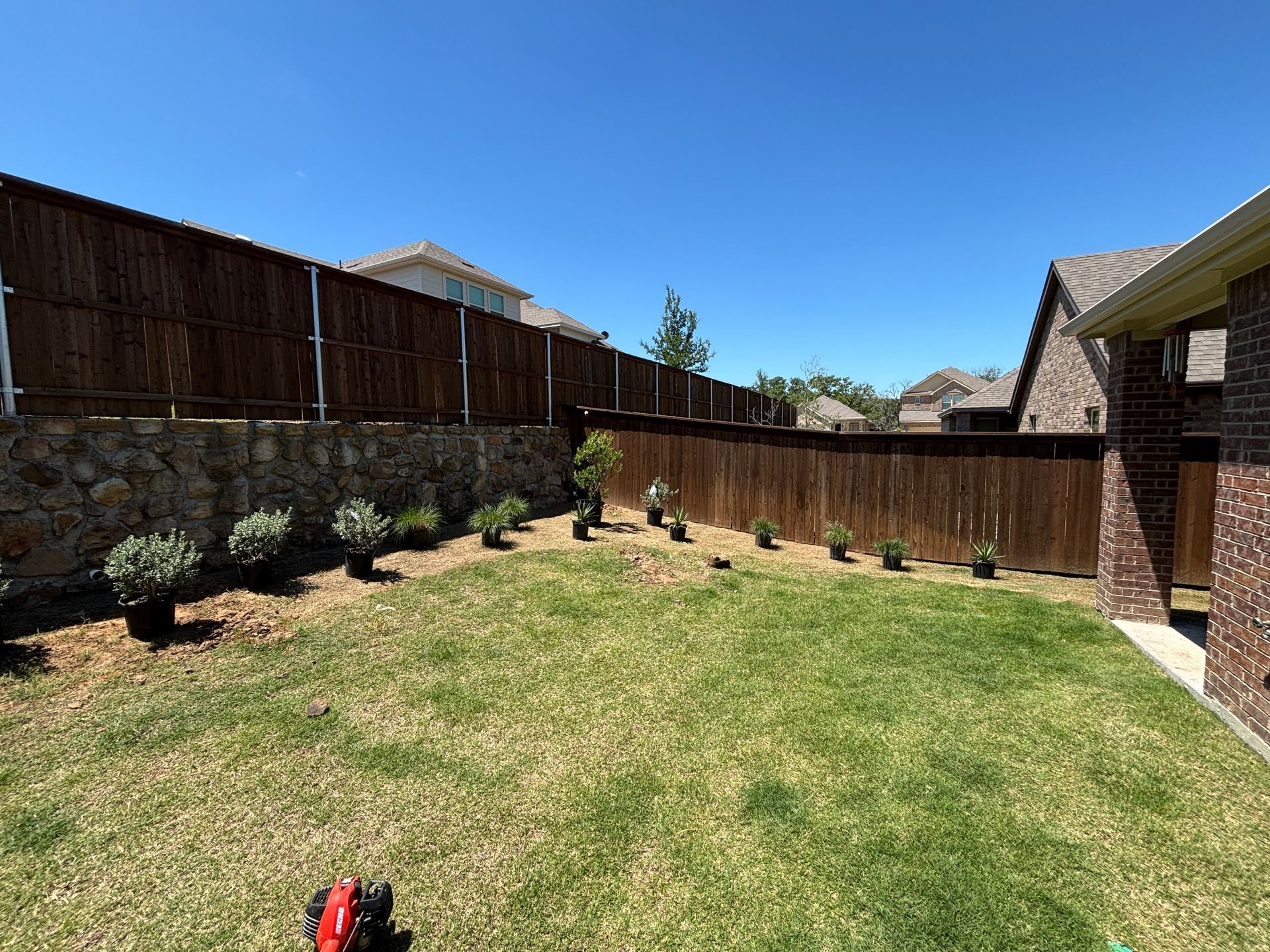 Sunny backyard with green lawn, wooden fence, shrubs, and a brick house edge