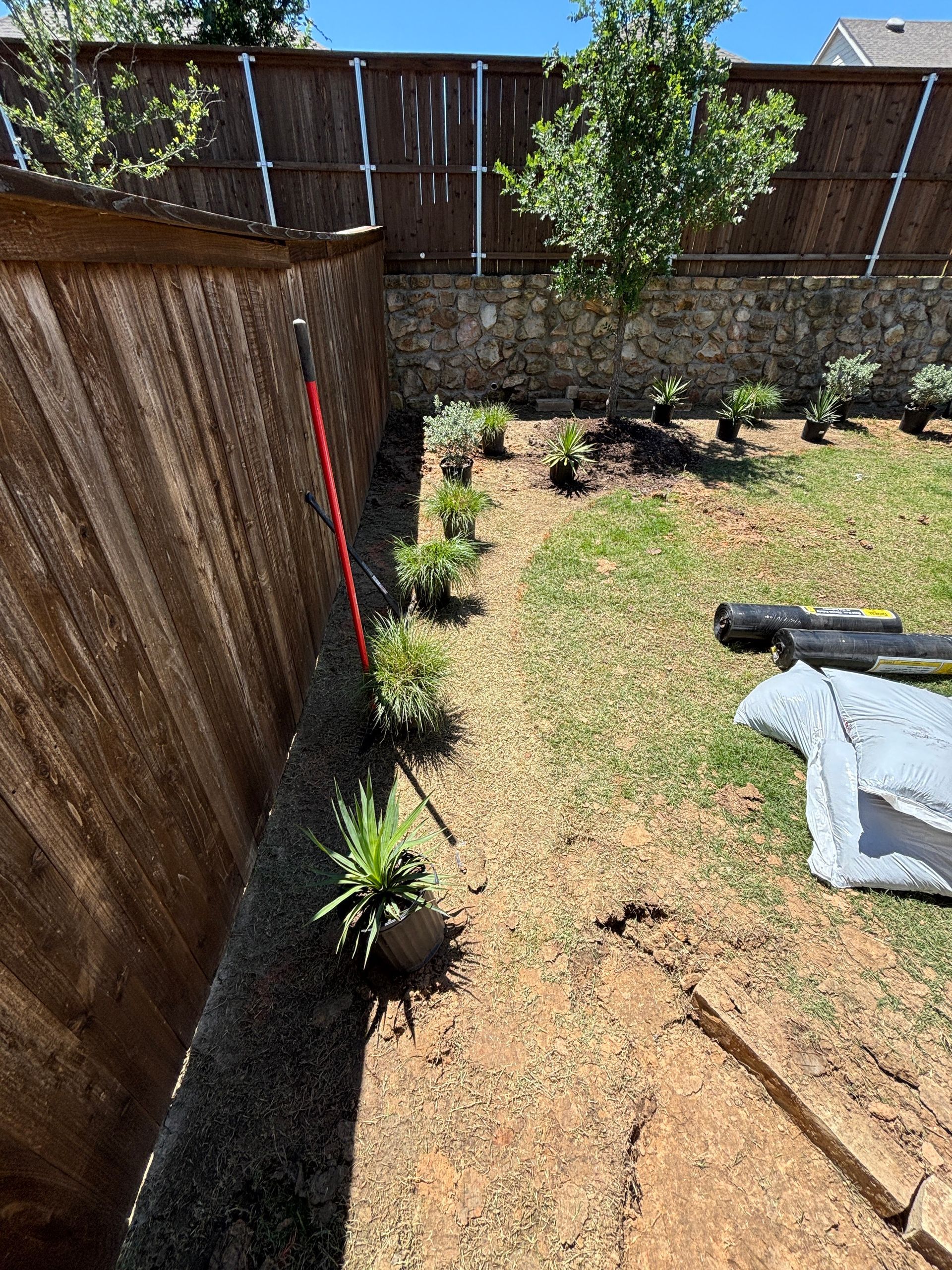 Sunny backyard corner with rusty fence, small trees, grass, and garden tools on the ground
