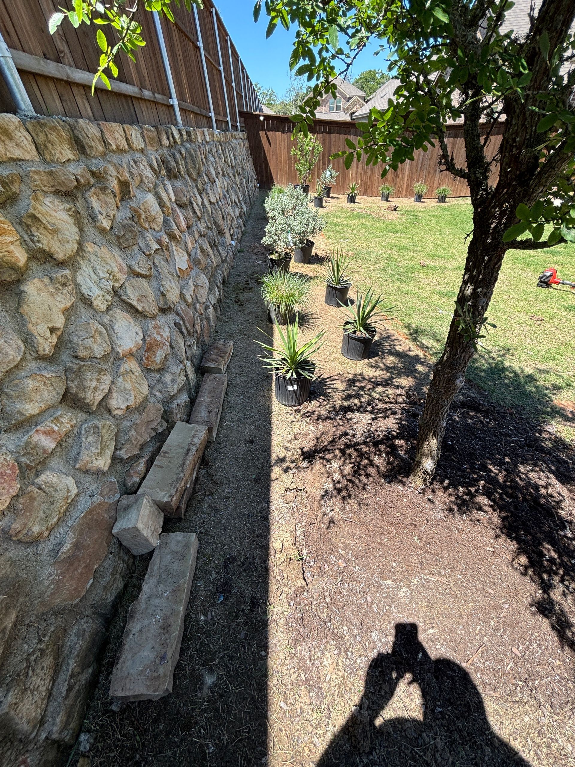 Stone wall beside a sunny backyard path, with a tree casting shade over dry ground.