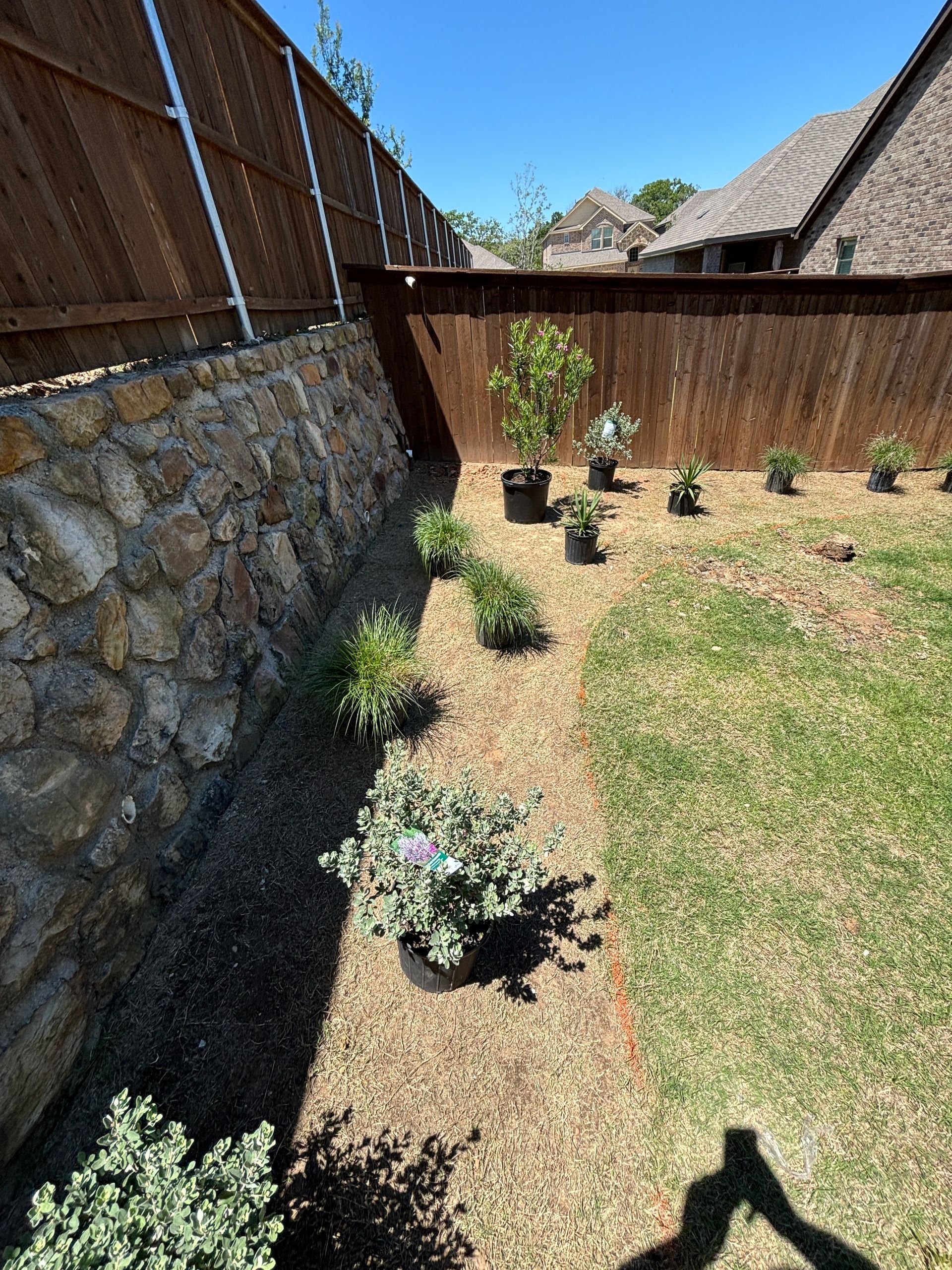 Small backyard garden with young potted plants along a wooden fence and stone wall in sunlight