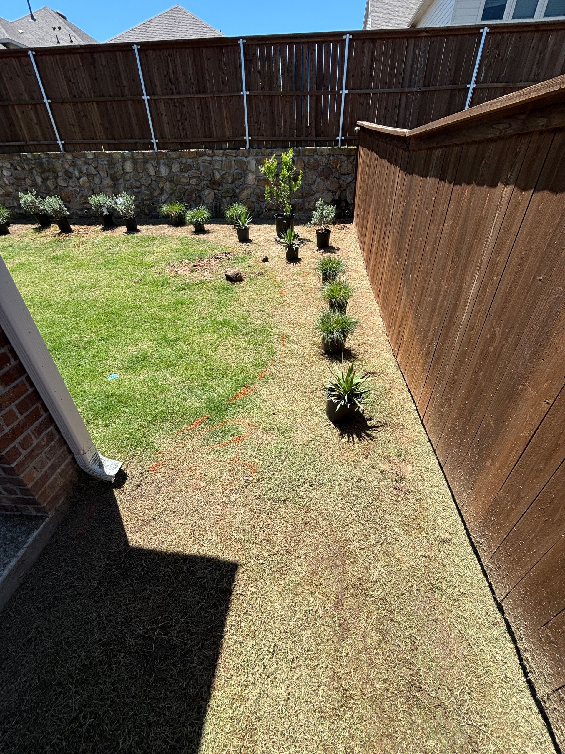 Backyard lawn with a line of small potted plants along a wooden fence and a wicker privacy screen.