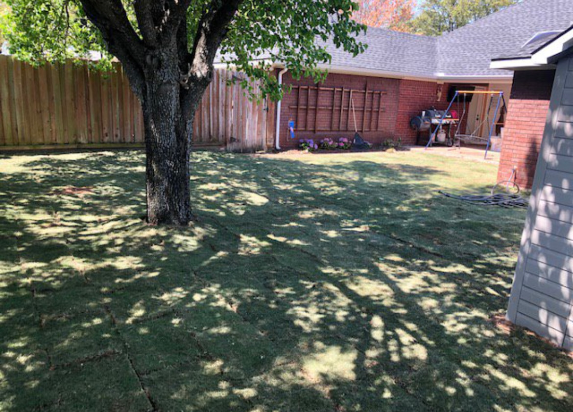Backyard with large tree casting shade on grass, wooden fence, and brick house walls.