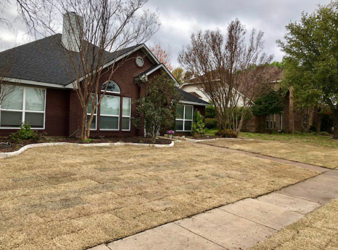 Brick house with a gray roof and bare winter trees beside a sidewalk and dry lawn.
