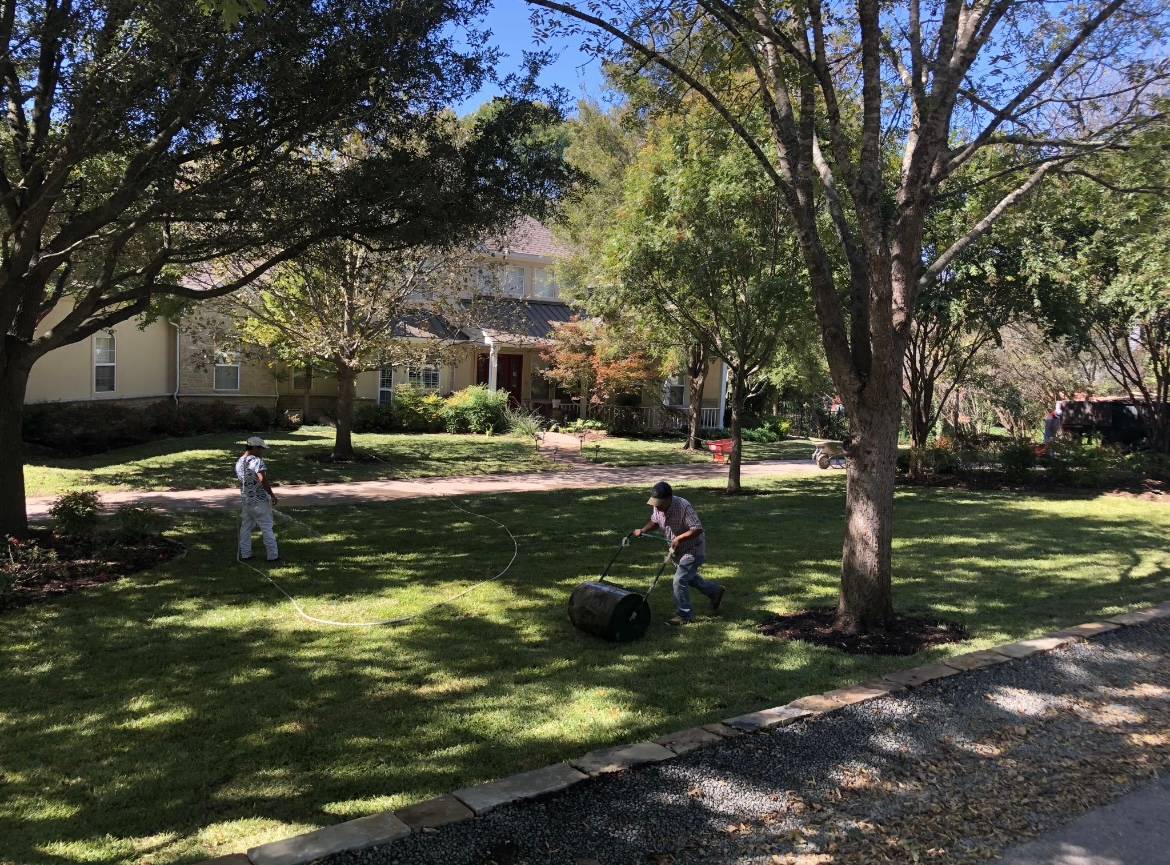 People in a shaded park clearing with trees, a house in the background, and a dog near the center.