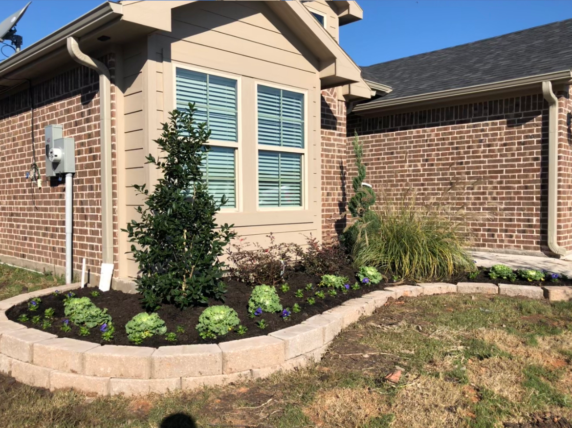 Front yard landscaping with mulch bed, shrubs, and a brick house with windows.