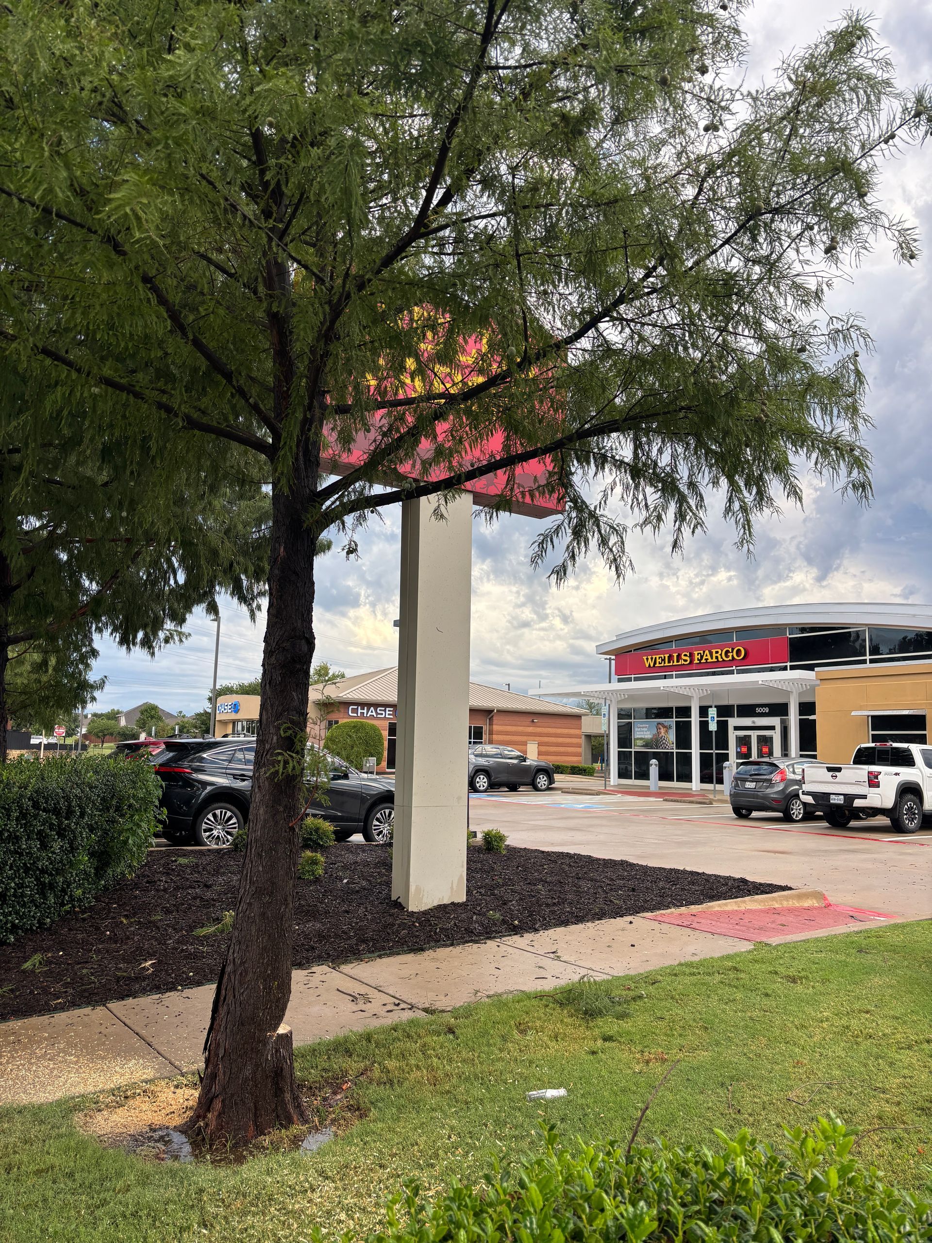 Tree in front of a fast-food restaurant with a drive-thru and parked vehicles on a cloudy day