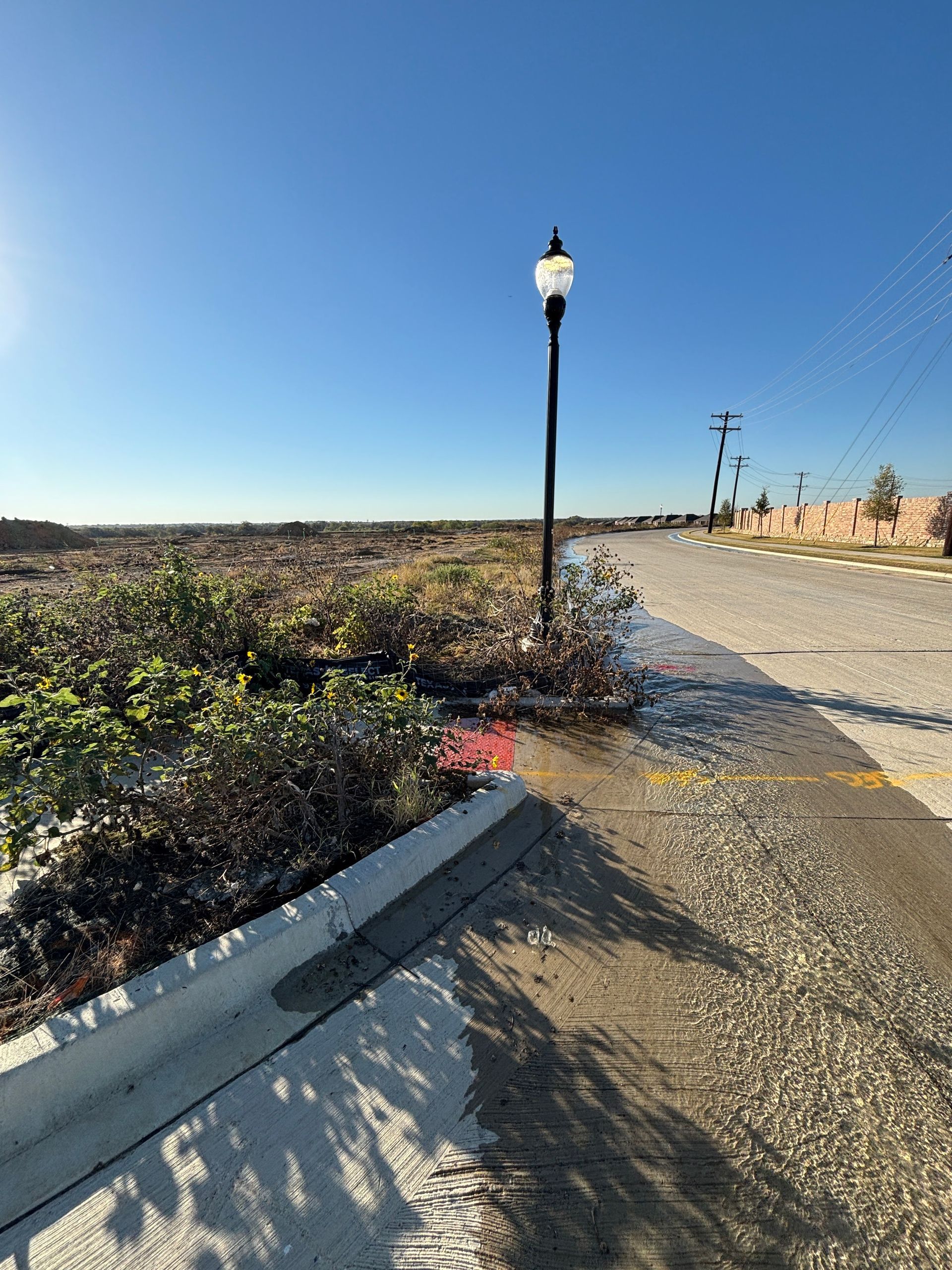 Sunny sidewalk path beside landscaped shrubs and lamp posts under a clear blue sky.