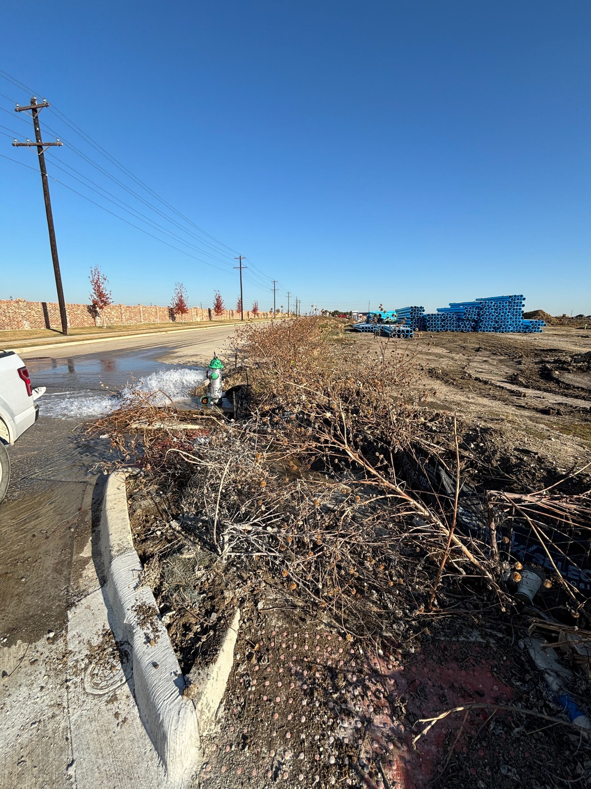 Roadside debris and branches piled beside a curb under a clear blue sky, with utility poles in the background.